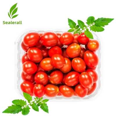 comprar Seladora Sealerall MAP para Bandejas de Tomates Pequenos com 10-12 Unidades Fabricação em linha